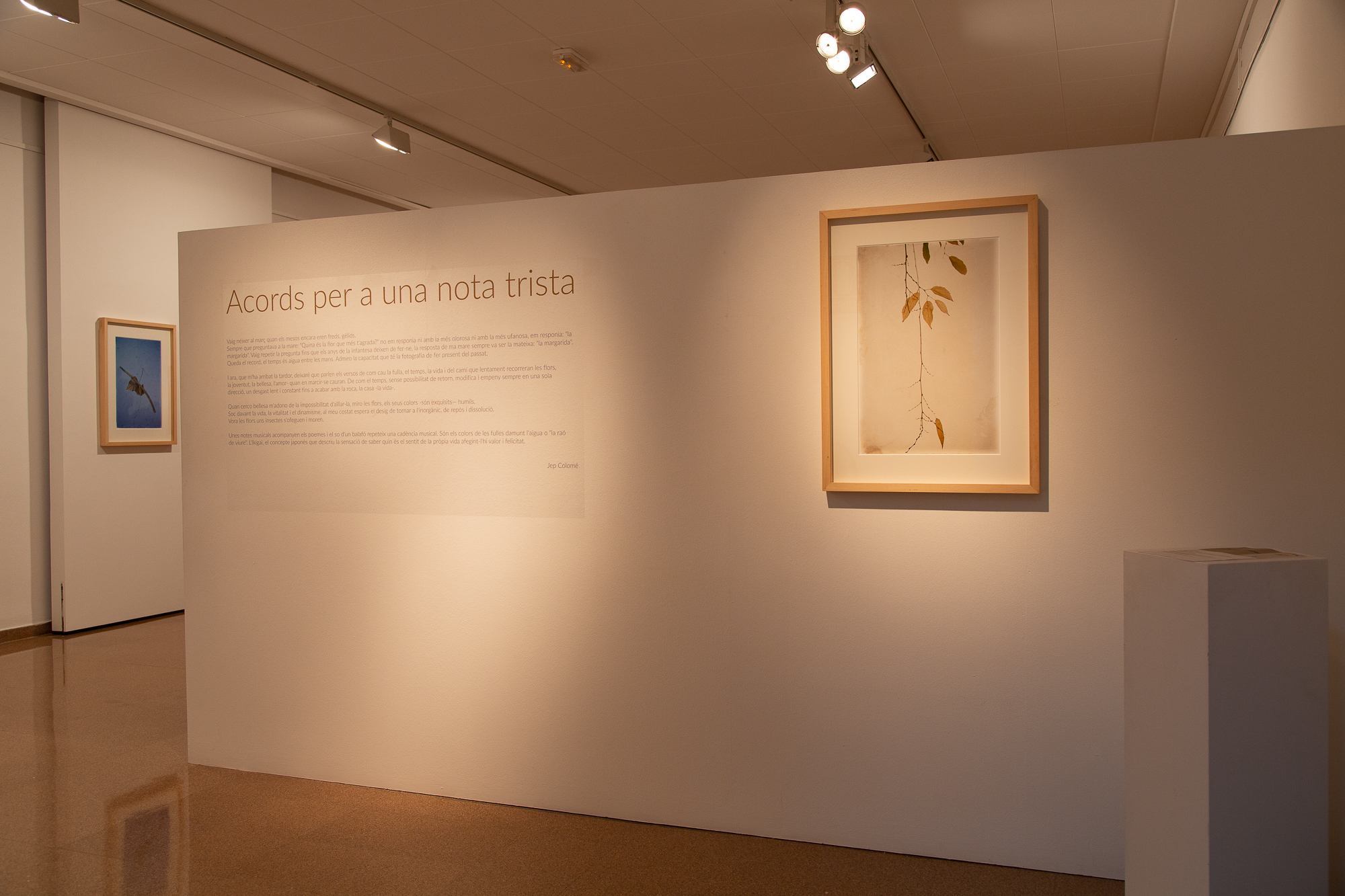 Jep_Colome_exposicio_Acords1