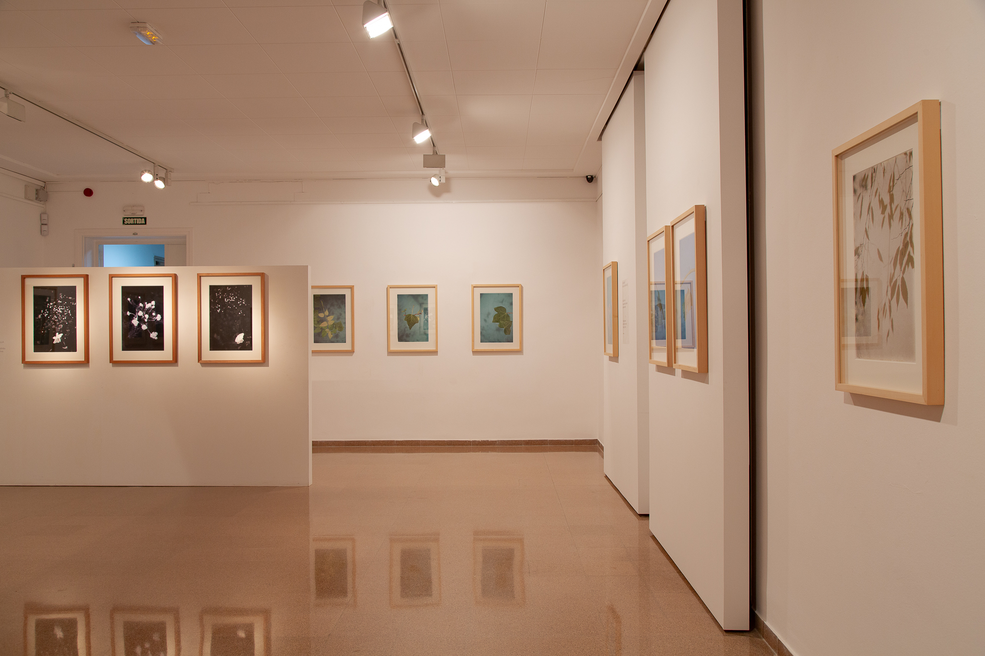 Jep_Colome_exposicio_Acords12