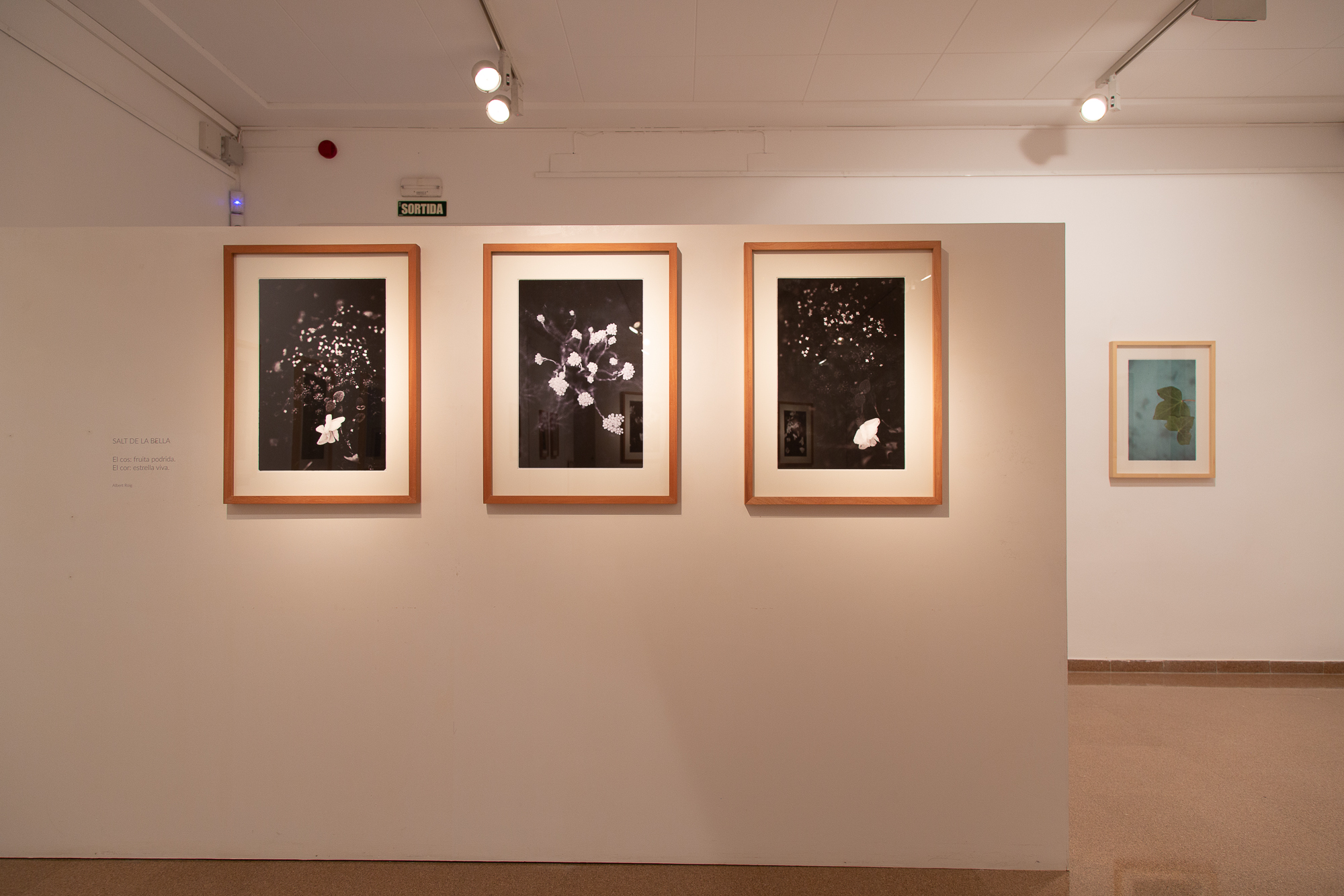 Jep_Colome_exposicio_Acords4