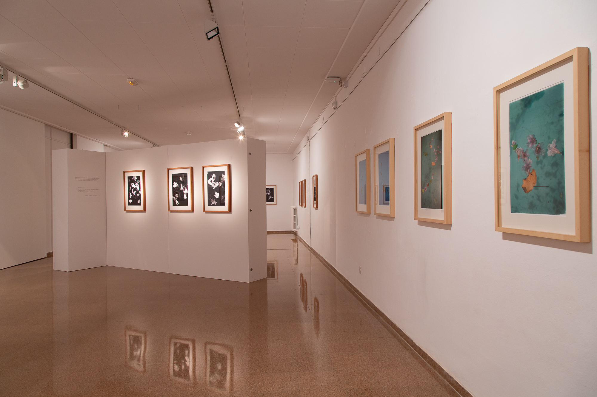 Jep_Colome_exposicio_Acords5