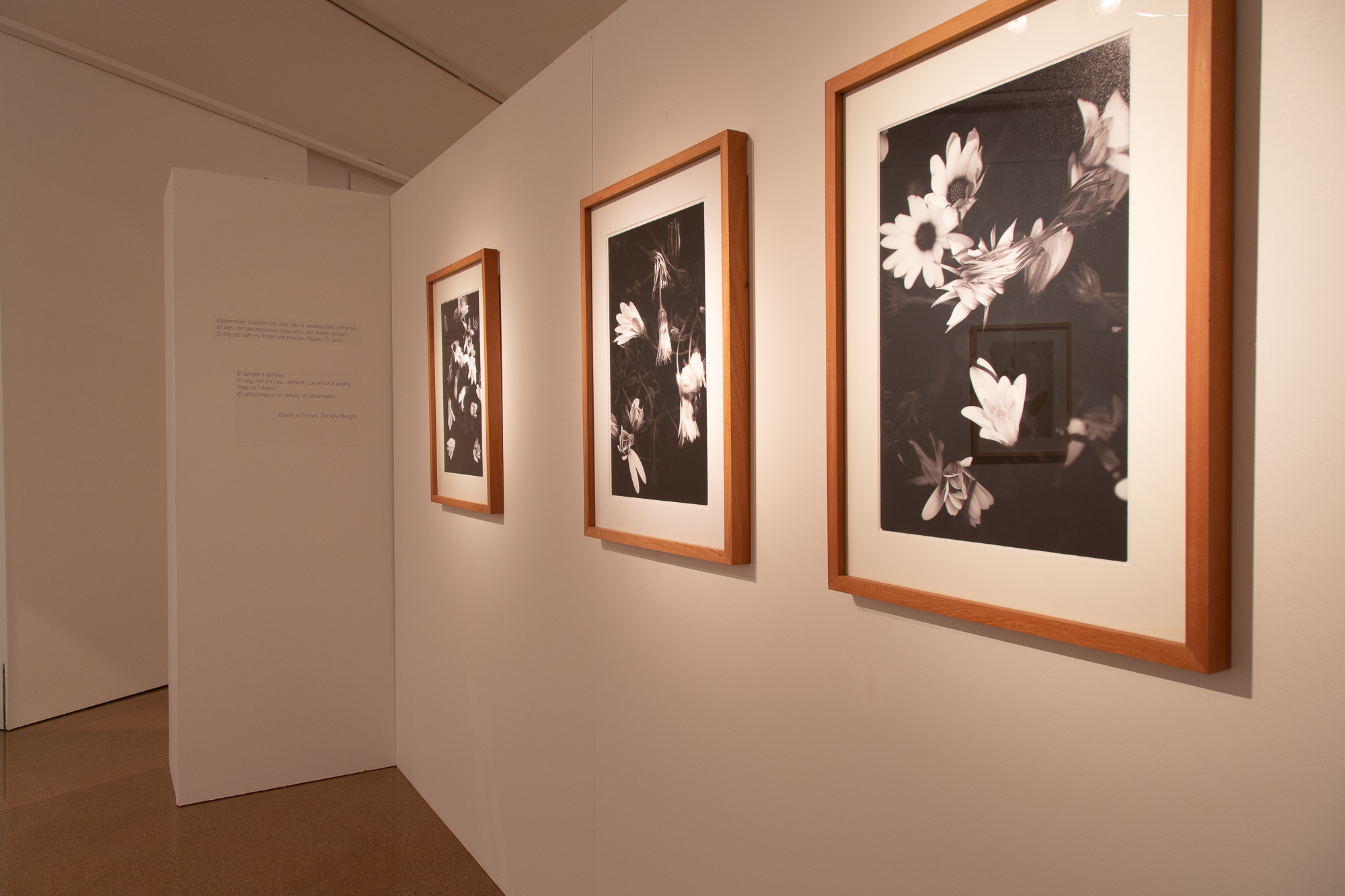 Jep_Colome_exposicio_Acords6