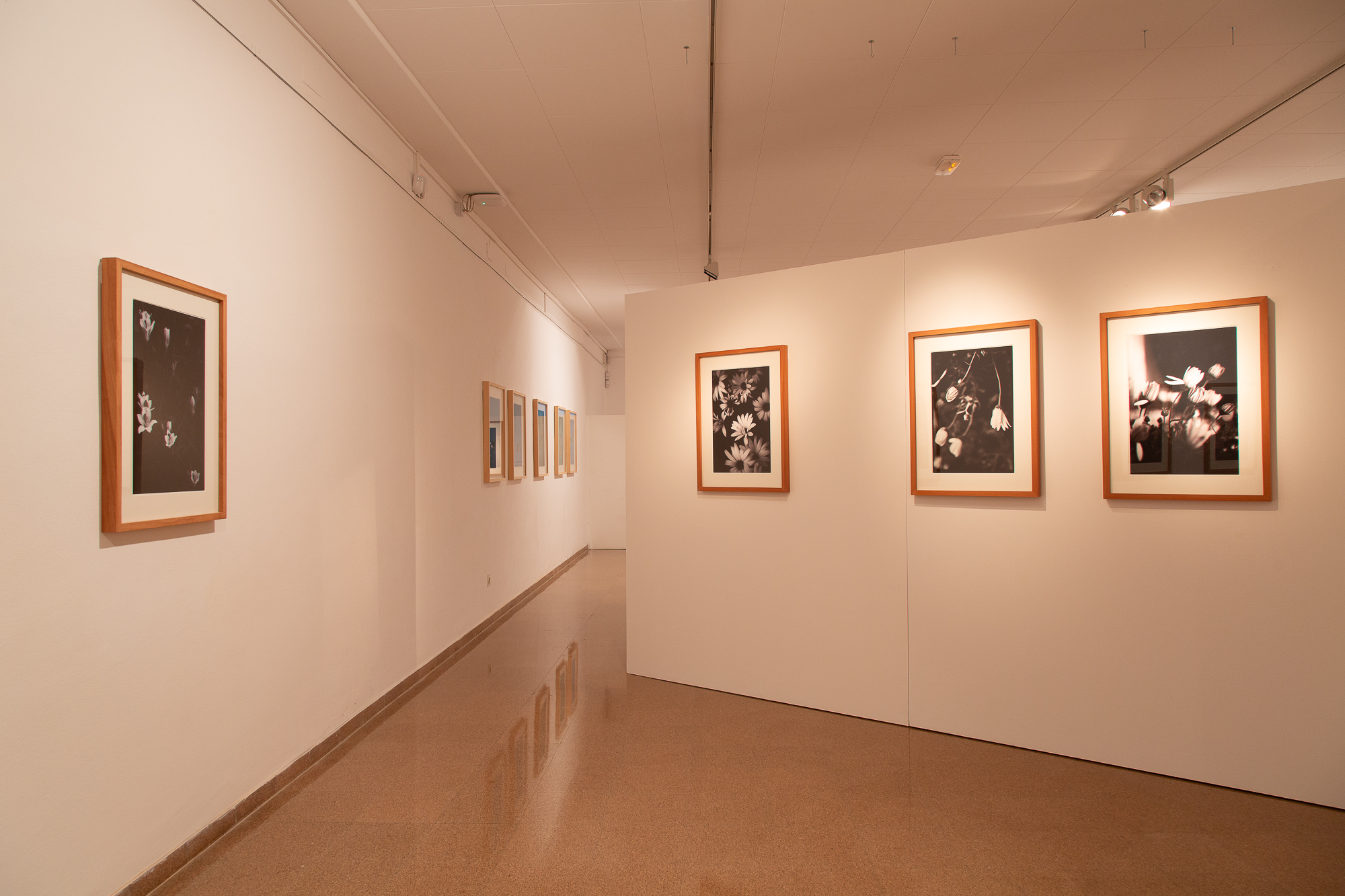 Jep_Colome_exposicio_Acords7