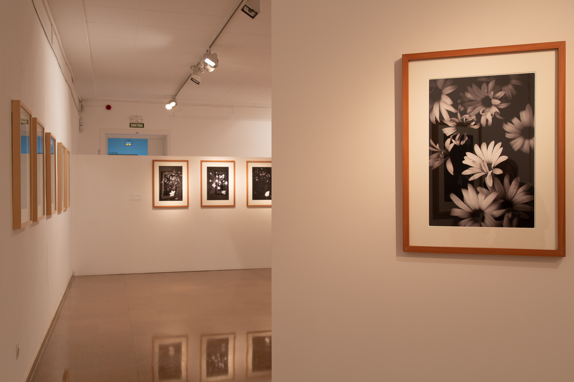 Jep_Colome_exposicio_Acords8