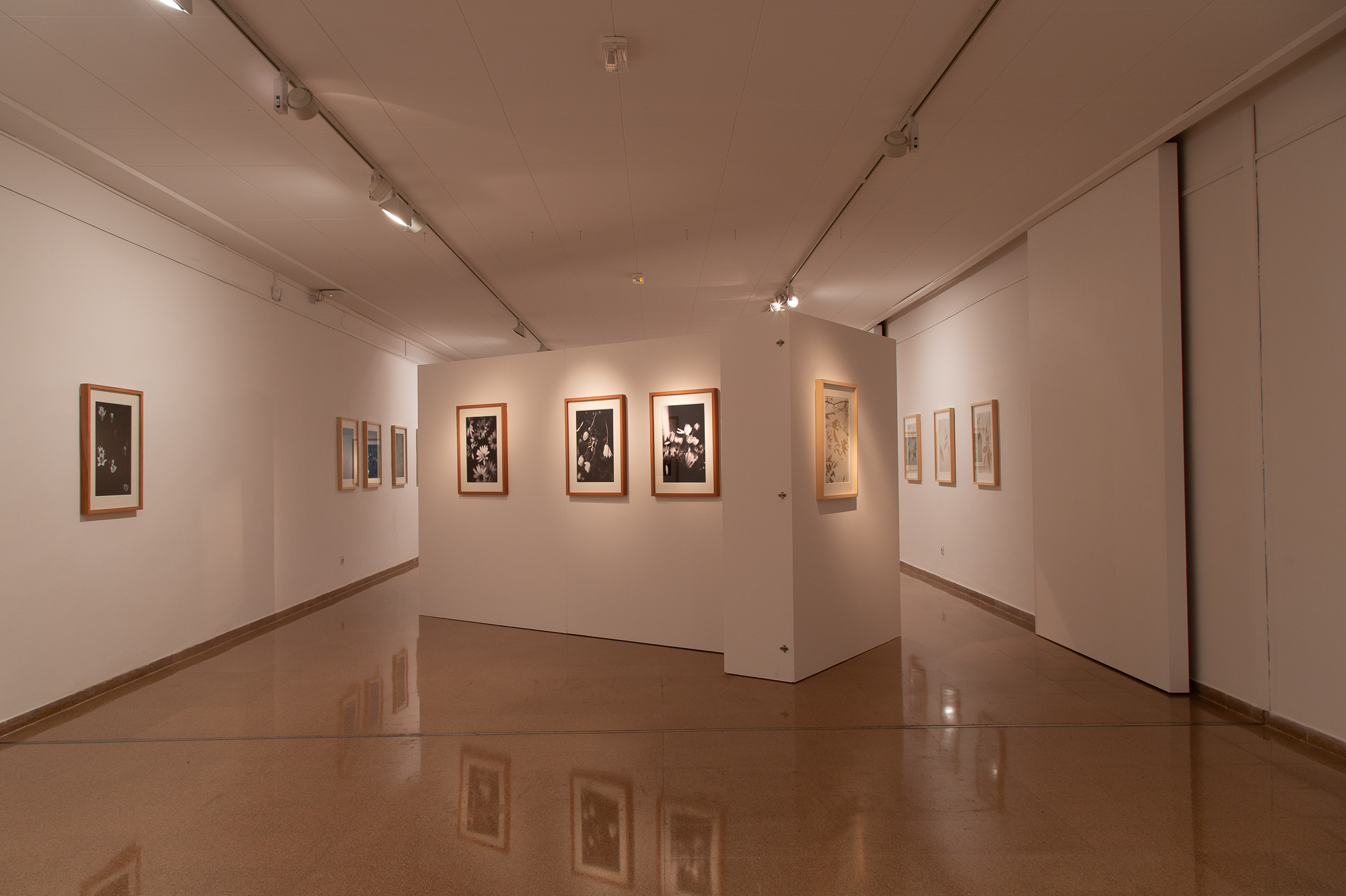 Jep_Colome_exposicio_Acords9